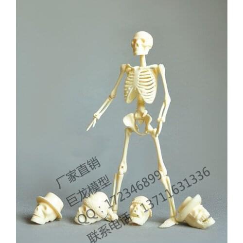 Free shipping Human body 20cm assembling skeleton model educational toys model human skeleton model spare parts packaging