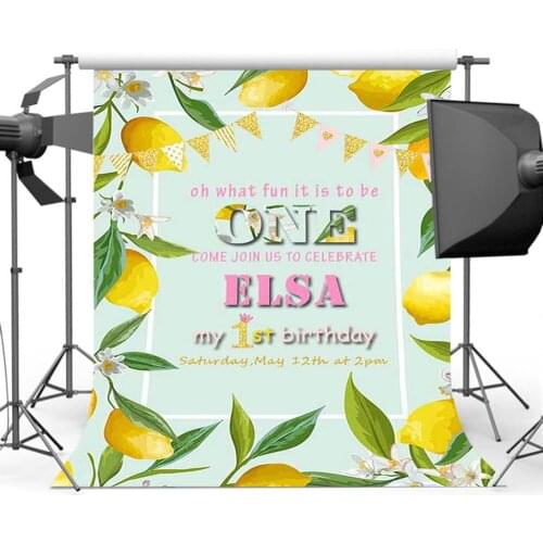 Mocsicka Baby Shower Photography for Background First Birthday Party Photo Backdrop Booth Studio Custom PA-037