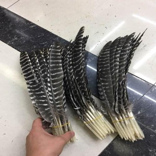 MFeather 100PCS Turkey Wings Feather Length 25-35CM Natural Wild Rare Pheasant Feathers For Carnival Headwear Decoratives Plumes