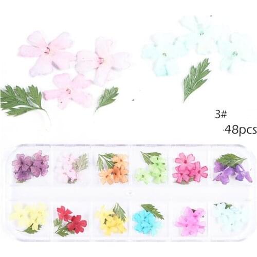 Dry Flowers Mini Real Natural Flowers Nail Art Supplies 3D Applique Nail Decoration Sticker for Tips Manicure Decor
