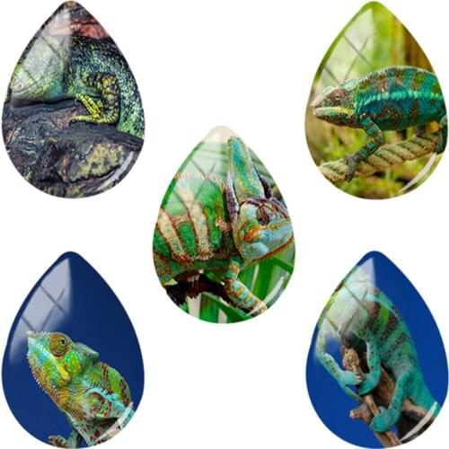 TAFREE Reptile Chameleon Picutres Water Drop Cabochons Dome Beads Jewelry Accessories For Protect The Environment HL174