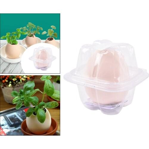 Min Bonsai Egg Potted Plant Gardening Pot Indoor Outdoor Planting for Kids Homework