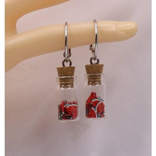 Watermelon Earrings, Fruit Earrings, Fruit jewellery, glass bottle earrings, summer watermelon jewellery gift
