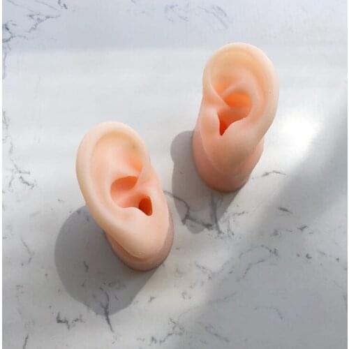 4CM coffee colour Soft silica gel real person ear head mannequin taking headset medical teaching display props Medical C929