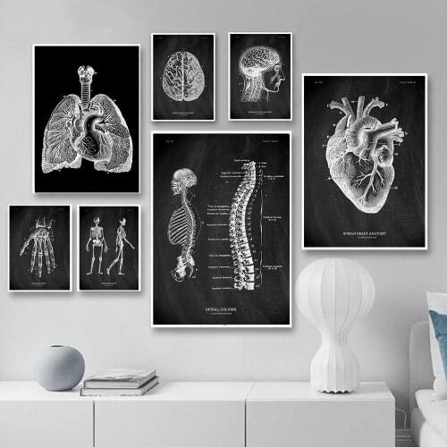 Human Body Organs Heart Teaching Poster Anatomy Art Skeleton Canvas Painting For Living Room Wall Decorative Pictures Home Decor