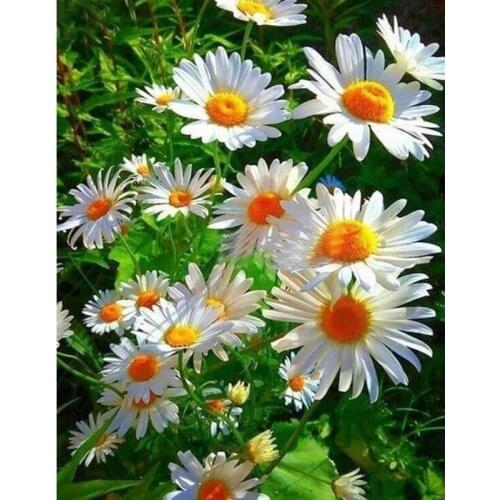 Rhinestone Mosaic Diamond Painting,daisy,Flower Cross Stitch,mosaic Diamond Embroidery Sale Diamond Painting Crystal Arts Crafts