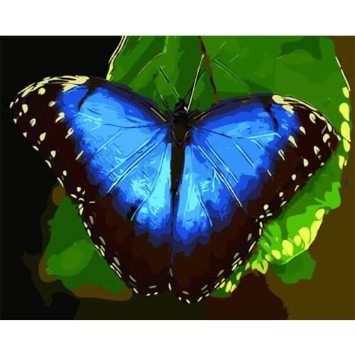Butterfly blue beautiful Animal DIY Digital Painting By Numbers Modern Wall Art Canvas Paint Birthday Gift Home Decor