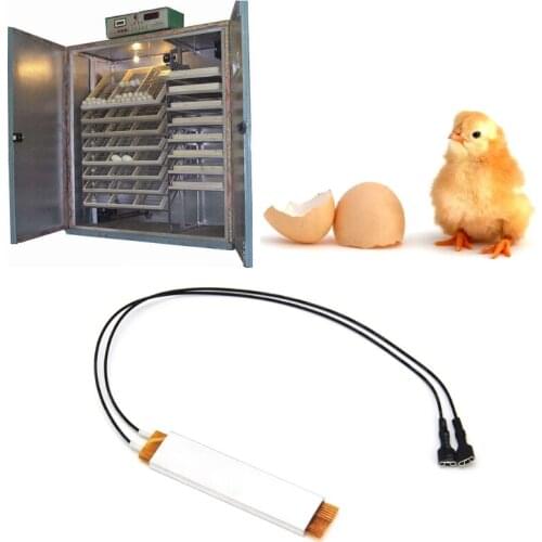 Heating Incubator Heater Element Plate For Eggs Incubator Accessories 110V 220V