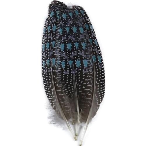 Stamp Pheasant Feather For Crafts DIY Jewelry Making 6-8 Inch/15-20Cm Carnival Halloween Decoration juju Hats Feather Wholesale