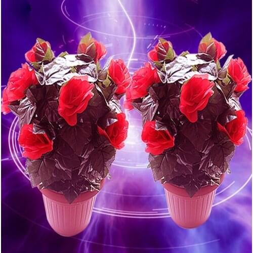 Romantic theme room escape prop amazing flower props keep on touching the sensor flower blooming out open lock escape room