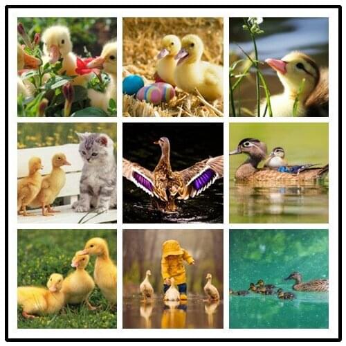 LIPHISFUN Full Drill Diamond Painting Handmade Cross Stitch Embroidery Square/round DIY Duck Cute Animal