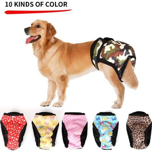 Teddy Anti-harassment Panties, Dog Physiological Pants, Pet SuppliesPet Cat and Dog Pet Menstrual Pants, Bitch Sanitary Pants
