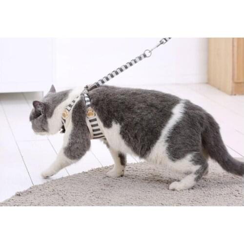 Cat Dog Adjustable Harness Vest Walking Lead Leash For Puppy Dogs Collar Polyester Mesh Harness For Small Medium Dog Cat Pet