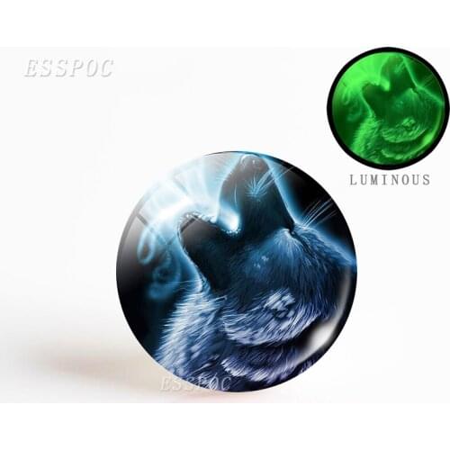 5PCS 25mm Luminous Glass Cabochon Jewelry Aggressive Wolf Pattern Round Making Glowing In The Dark DIY