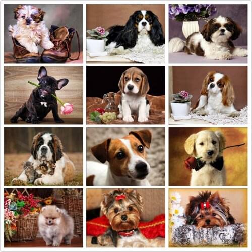 5D Diamond Painting Animal Dog Yorkshire Terrier Shih Tzu Diamond Mosaic Embroidery Cross Stitch Child Handmade DIY Decor Gift