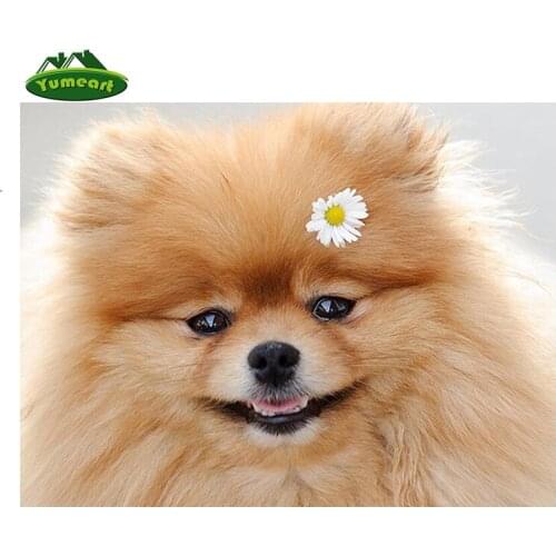 Diamond painting Cross stitch Diy Diamond embroidery Cute Dogs square drill Diamond mosaic pasted Needlework Wall stickers