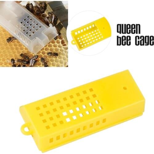 Bee Queen Cages Overwintering Queen Rearing Kit Goods Tools For Beekeeper Supplies