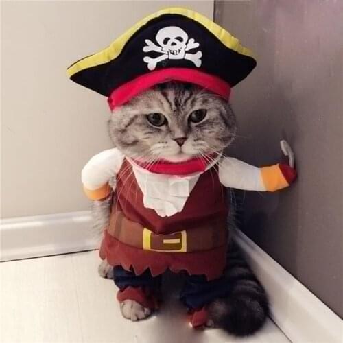 AIOSC Products For Cats