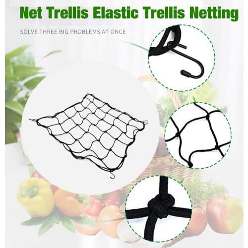 Net Trellis Elastic Rubber Growing Tent Garden Trellis Support Plant Netting Climbing Vine Plants Net Garden Flower For Vegetabl