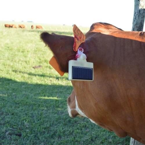 Solar Power GPS Animal Eartag Tracker TBT300