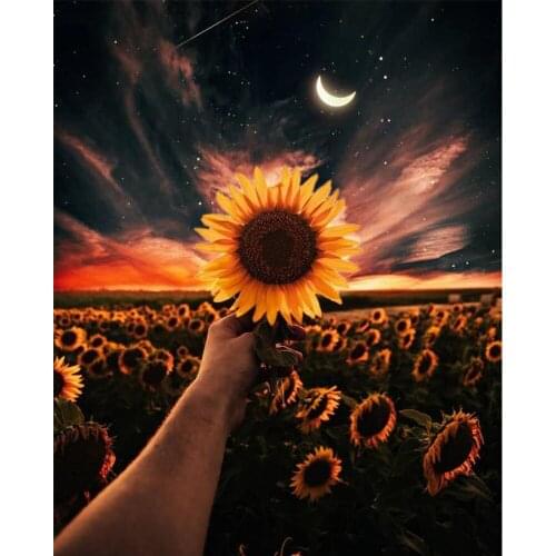 Rhinestone Picture Moonlit Sunflower 5D Diamond Painting Cross Stitch Square Embroidery Mosaic Mural Art