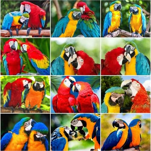 EverShine Diamond Painting Animal Full Square 5D Diamond Mosaic Parrot Picture Of Rhinestones Embroidery Cross Stitch Wall Decor