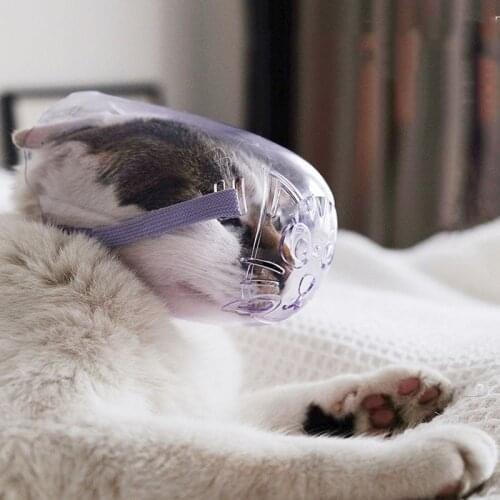 Hollow Breathable Cat Anti-bite Grooming Mask Adjustable Pet Kitten Dog Mouth Mask Cover for Bathing Cleaning Cats Pets Products