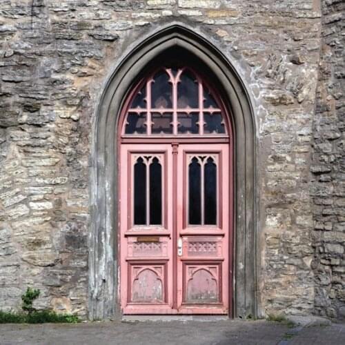 Pink Castle Door Wood rock Gate Medieval Cinderella Party photo backdrop Computer print wedding backgrounds