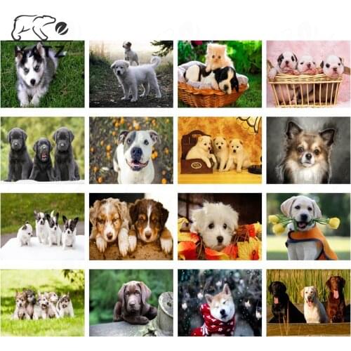 Labrador Retriever Picture Diamond Painting Cross Stitch Modern Animal Dog Diamond Mosaic Handmade Diy Gift Decoration