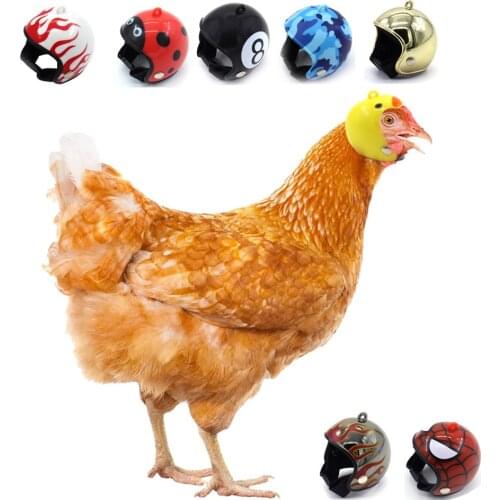 Chicken Helmet Cap Pet Toy Bird Hens Small Pet Supplies Protective Gear Sun Rain Protection Helmet Costumes Accessories