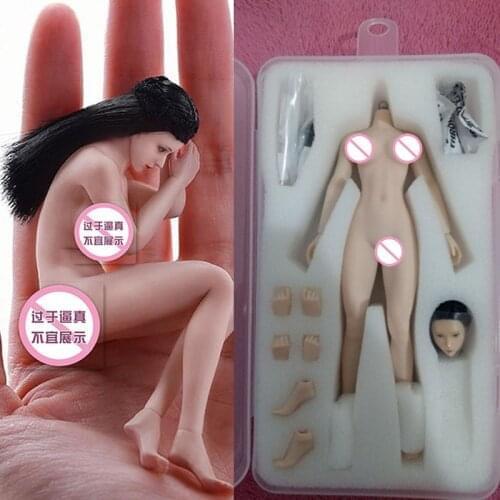 TBLeague 1/12 Female Body Figure With Head Sculpt PHMB2018-T01 Suntan/Pale Color Action Figurine Dolls Collection Model Toys