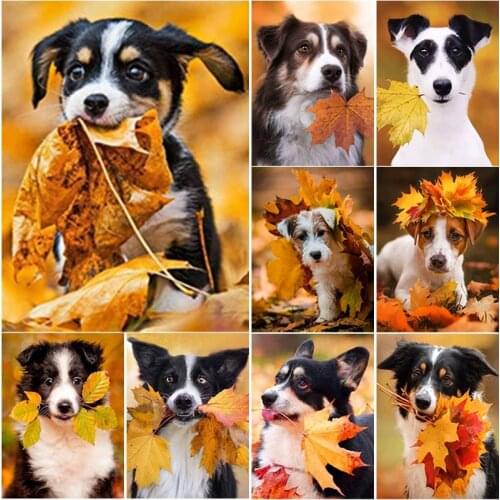 5D DIY Animal Diamond Painting Autumn Leaves Dog Diamond Embroidery Cross Stitch Full Square Round Drill Manual Gift Home Decor