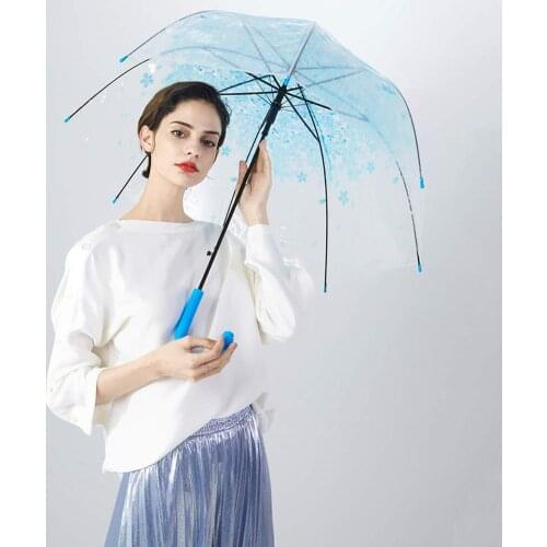 Windproof creative transparent bird cage umbrella beautiful small fresh straight handle umbrella
