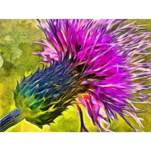 Scottish Flower Vibrant ART SILK POSTER Decorative Wall painting 24x36inch