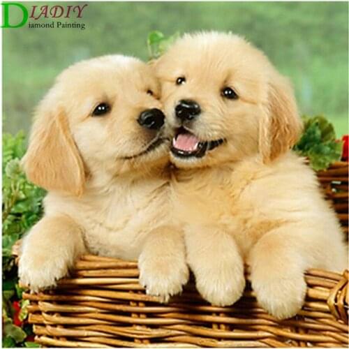 Full Round Diamond 5D diamond painting animal tiger fox diamond embroidery kit mosaic painting diy children gift