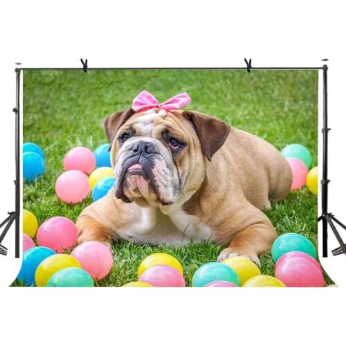 7x5ft Bulldog Backdrop Cute Bulldog Colorful Balloon Green Grass Photography Background and Studio Photography Backdrop Props