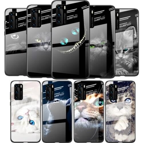 Tempered Glass Cover Black Cat Staring Eyes For Huawei P40 P30 P20 P10 Pro Plus Lite 5G 2019 Shockproof Shell Phone Case