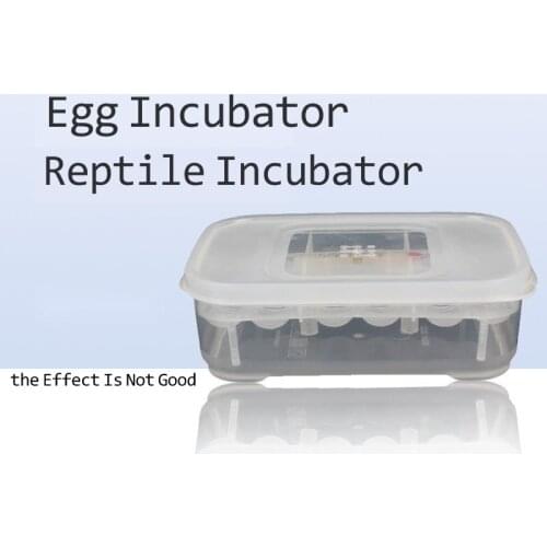 Aquarium Decoration Accessories Egg Incubator Professional Palace Snake Lizard Climbing Pet Hatching Reptile Hatching Terrarium