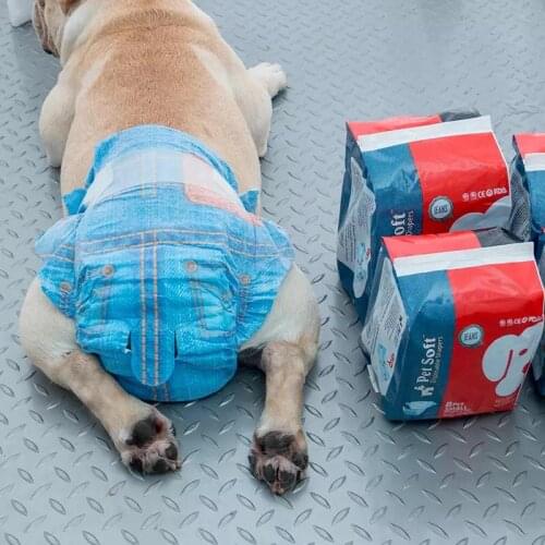 PAWSMOMENT Briefs For Dogs