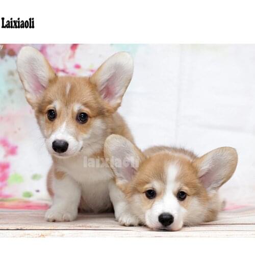 Laixiaoli Decorative Wall Stickers