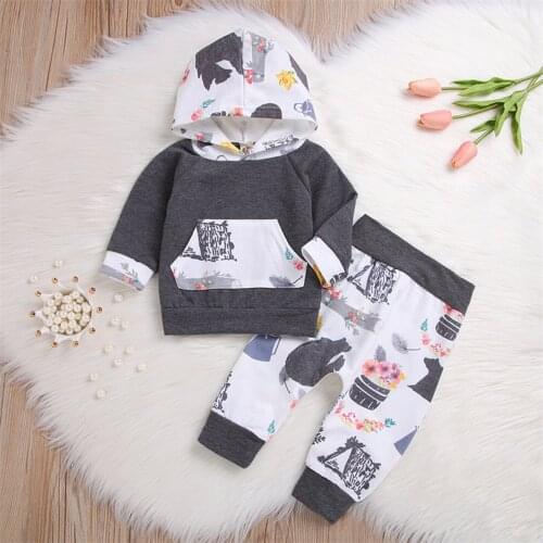 Cartoon animal print Clothes Sets Hooded Long sleeve Sweatshirt trousers Casual Wear Newborn Kids winter Clothes Outfits