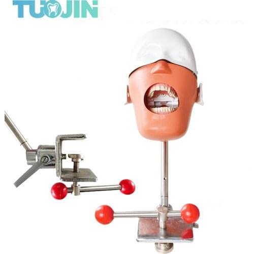 New Type Dental Phantom Head Manikin Head Model Medical Simulators For Training Dentistry Laboratory Tools And Machines