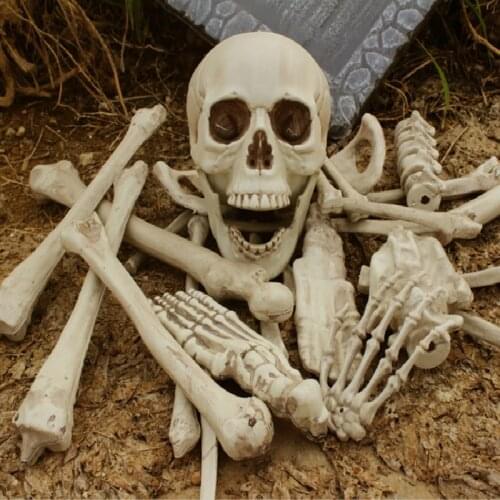 28 pcs Haunted Home Props Broken Bone Skull Insult Horror Halloween Party Haunted Room Escape Artificial Human Skeletons