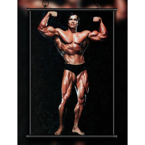 44 Custom Poster Silk Home Deco ARNOLD SCHWARZENEGGER Bodybuilding Motivational Gigantic Strong Wall Art Christmas Gift