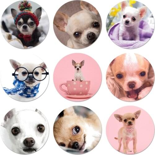 Chihuahua Icons Pins Badge Decoration Brooches Metal Badges For Backpack Decoration 58mm