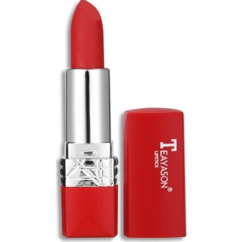 TEAYASON 10 Colors Small Red Tube Velvet Matte Lipstick Plum Lip Waterproof Non-stick Cup Long Lasting Lips Makeup TSLM1
