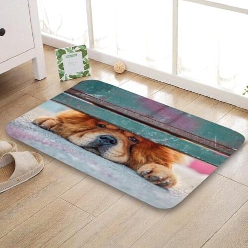 HEARMNY New Arrival Doormat Chow Chow Cute Home Mat Machine Made Anti Slip Carpet Living Room/Hallway Bath Mat For Kids Gift