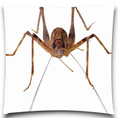 Insect pattern Decorative Pillow Case Cotton polyester Home Decor Fashion Cushion cover For Sofa car