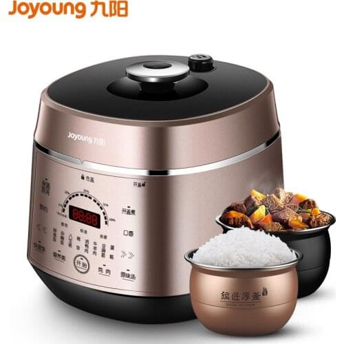 5L Double pot Electric pressure Cooker Automatic intelligent Pressure cooker Household Portable Electric rice cooker multicooker