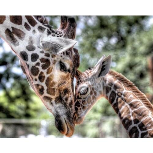 Hot new 5D DIY Diamond Painting Giraffe Square Diamond Embroidery Cross Stitch Rhinestone Mosaic Painting Home Decoration Gift